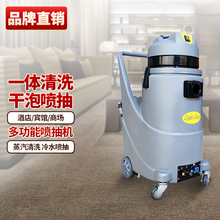 Пароочистители бытовые фото