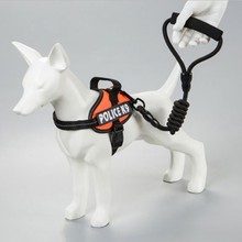 Одежда и аксессуары для домашних животных фото