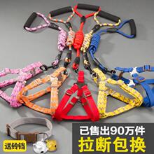 Поводки фото