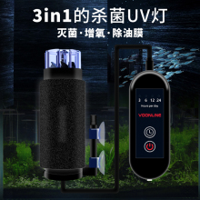 Аквариум фото