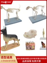 Стоматологические игрушки фото