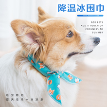 Одежда (стандарт) фото