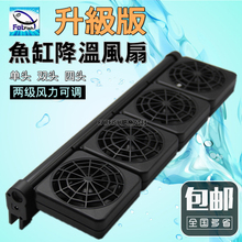 Аквариум фото