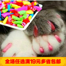 Одежда (стандарт) фото