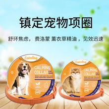 Декоративные ошейники фото