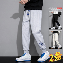 Брюки, шорты фото