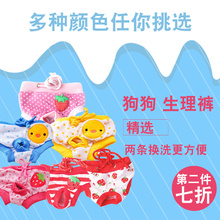 Штанишки для собак фото