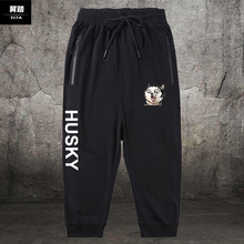 Штанишки для собак фото