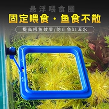 Товары для животных фото