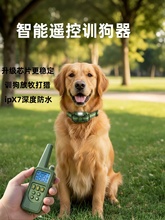 Тренажеры фото