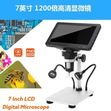 Цифровые микроскопы фото