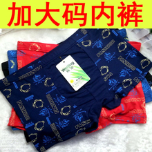 Женские Трусы фото