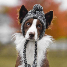 Шапки для животных фото