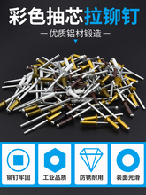 Чехлы и сумки фото