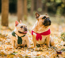 Одежда (стандарт) фото