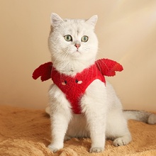 Одежда фото