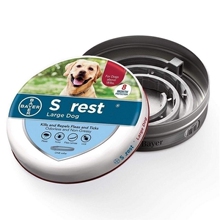 Ошейники фото