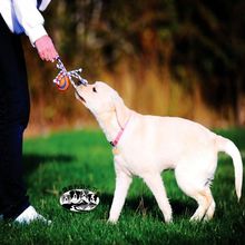 Наполняемые мячи фото