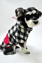 Одежда и аксессуары для домашних животных фото