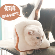 Декоративные ошейники фото