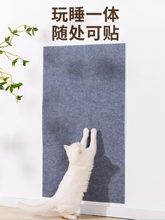 Товары для животных фото