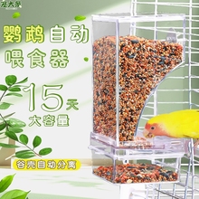 Автоматическая кормушка фото