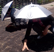 Зонтики для рыбалки фото