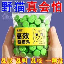 USB-отпугиватель насекомых фото
