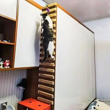 Товары для животных фото