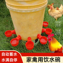 Кормушки с дозаторами фото