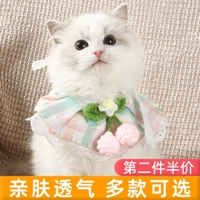 Ошейники фото