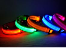 Декоративные ошейники фото